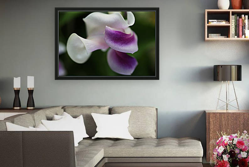 Corkscrew Flower Of Curves by Joy Watson