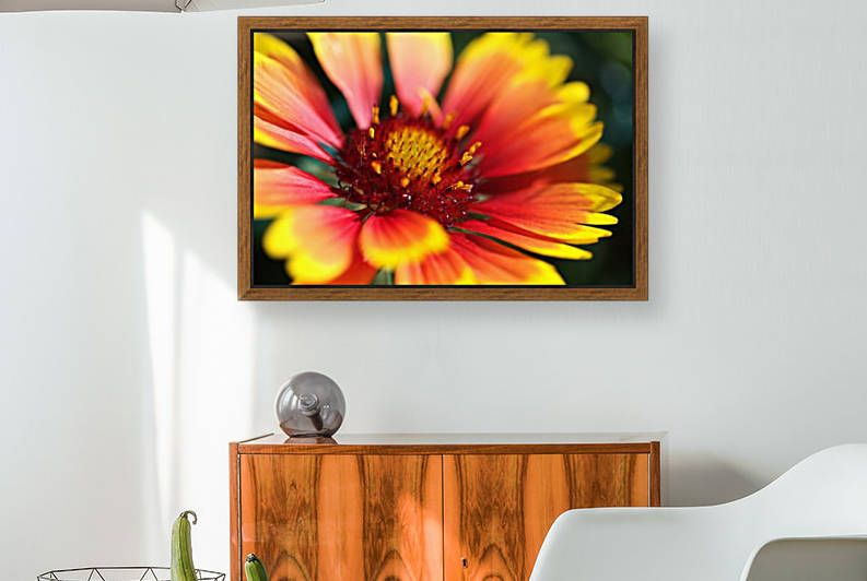  Blanket Flower Reproduction