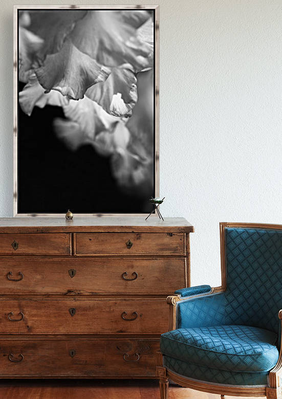 Gladiolus Petals Dance by Joy Watson