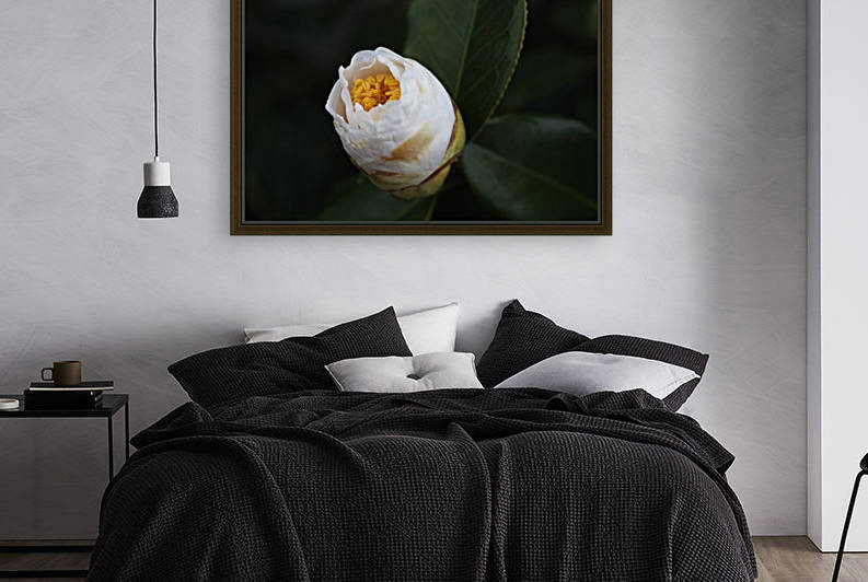 Camellia Bud by Joy Watson
