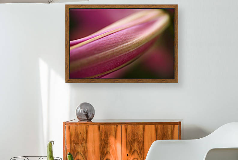 Pink Lily Bud by Joy Watson