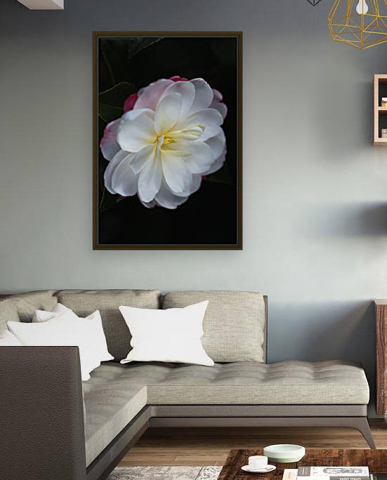 Camellia Lushness by Joy Watson
