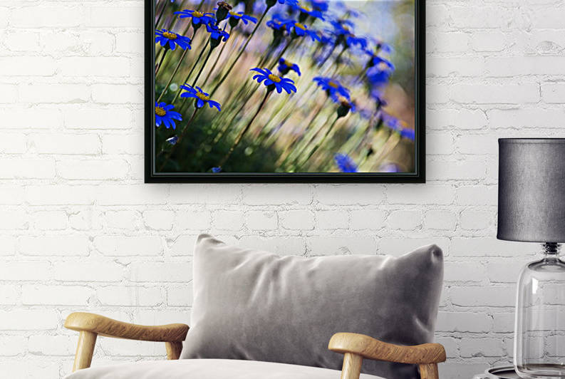 Wonderful Blue Daisies by Joy Watson