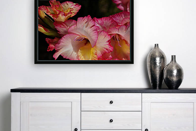 Gladiolus Flowers Delight by Joy Watson
