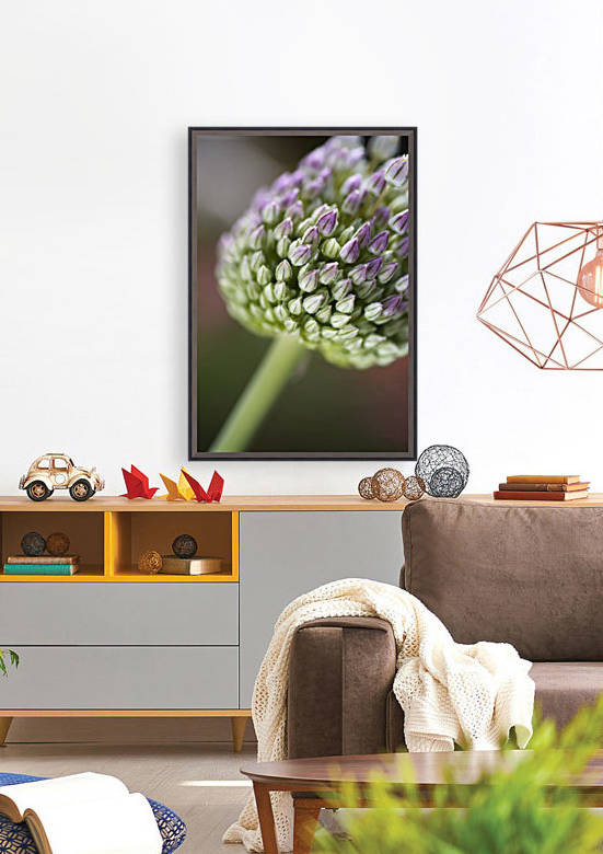 Garlic Flower Edible Bulb by Joy Watson