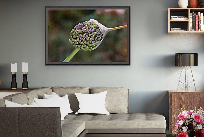 Garlic Flower With Cap by Joy Watson