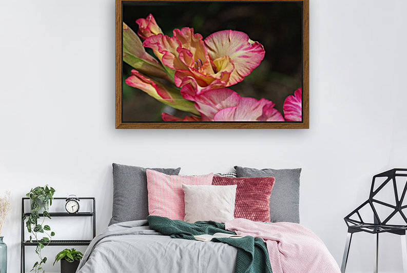 Gladiolus Display by Joy Watson