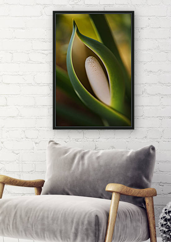 Elegant Monstera Deliciosa Fruit by Joy Watson