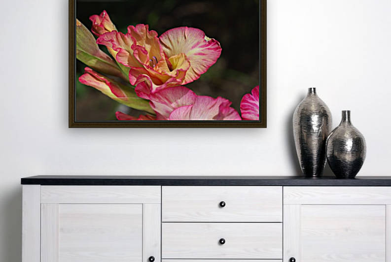 Gladiolus Flowers Stunning Display by Joy Watson