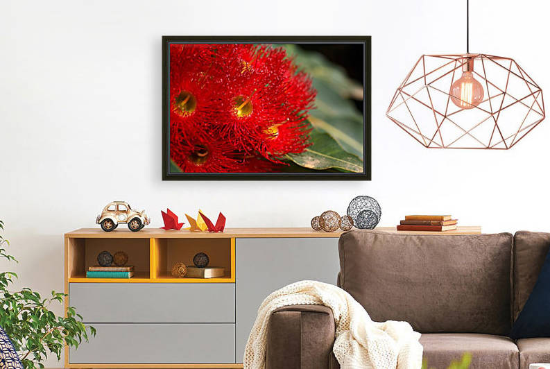 Eucalyptus Flower Natural Lace by Joy Watson