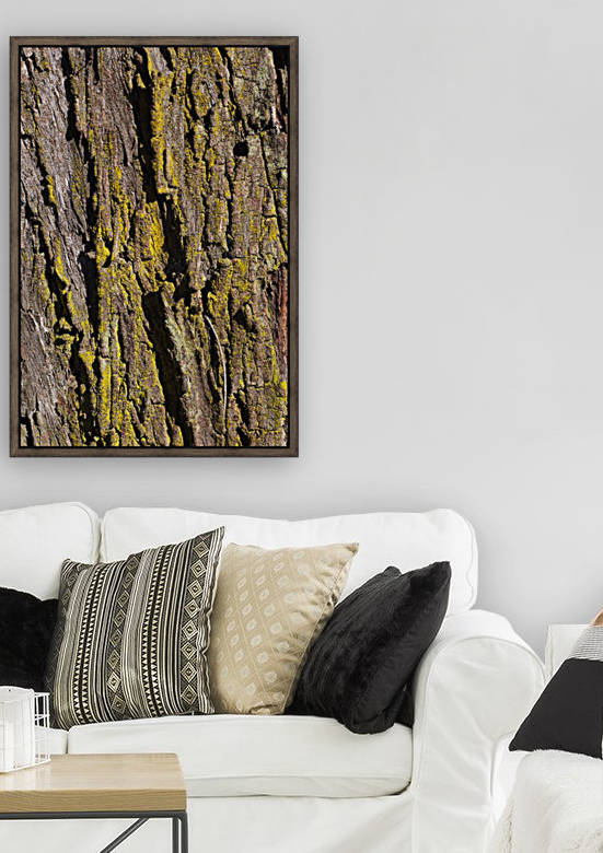 Moss Art Eucalyptus Bark  by Joy Watson