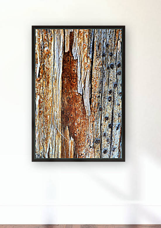 Eucalyptus Textures and Tones by Joy Watson