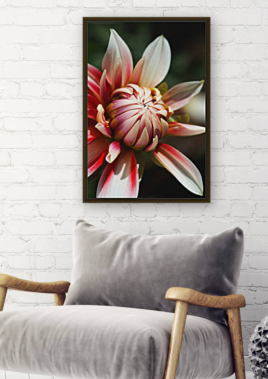 Dahlia Delightful Soul by Joy Watson