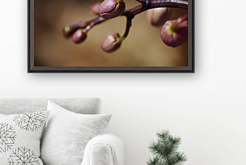ORCHID BUDS Whisper by Joy Watson
