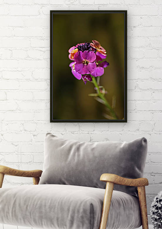 Wallflower Palette  by Joy Watson