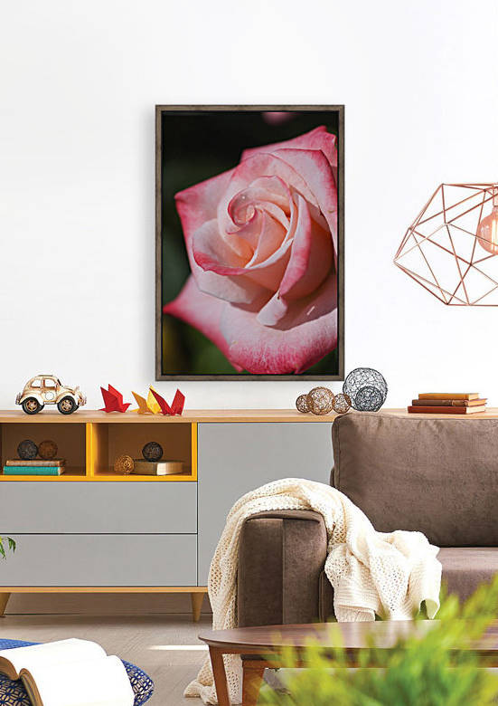 Rose Of Pinks by Joy Watson