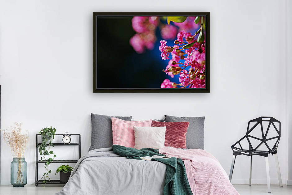 Crepe Myrtle Pink Flowers by Joy Watson
