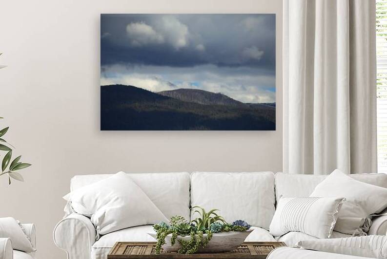 Elegant Moody Mountain Landscape Trees by Joy Watson