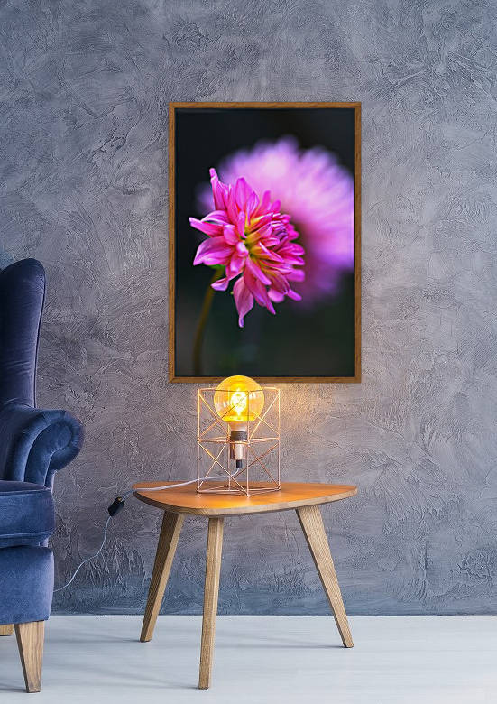 Dahlia on A Cloud Reproduction