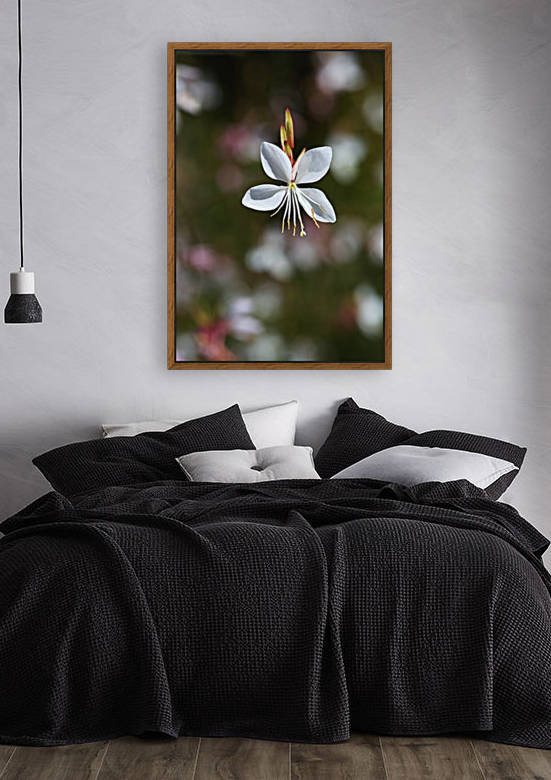 Butterfly Flower Flight by Joy Watson