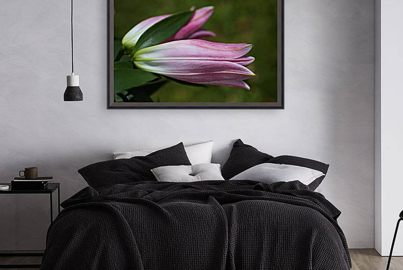 Pink Lily Flowers by Joy Watson