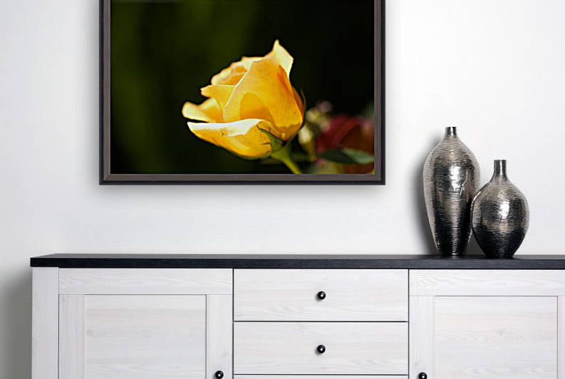 Bright Yellow Rose Bud by Joy Watson