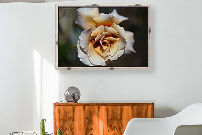 Lush Coffee Rose by Joy Watson