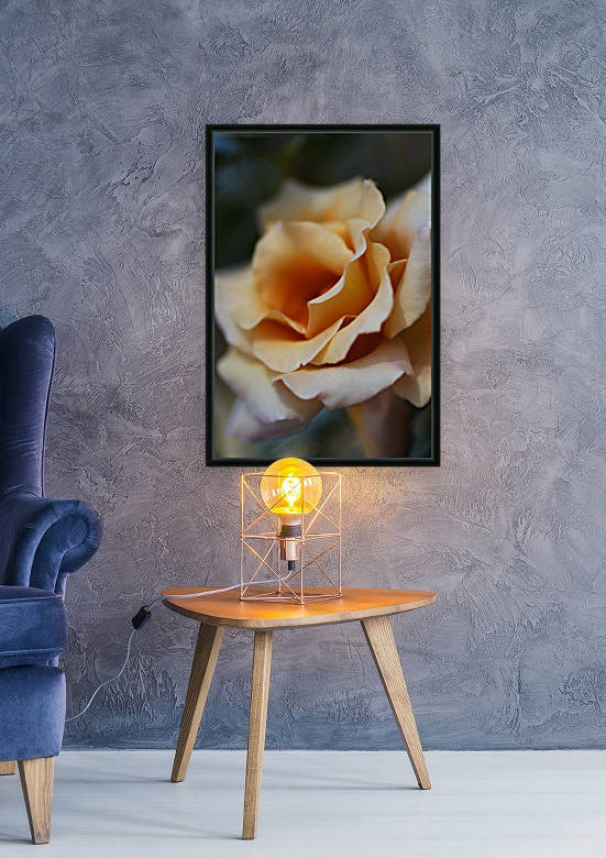 Coffee Rose Delight by Joy Watson
