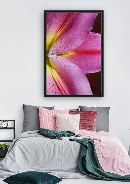 Pink Lily Petals by Joy Watson