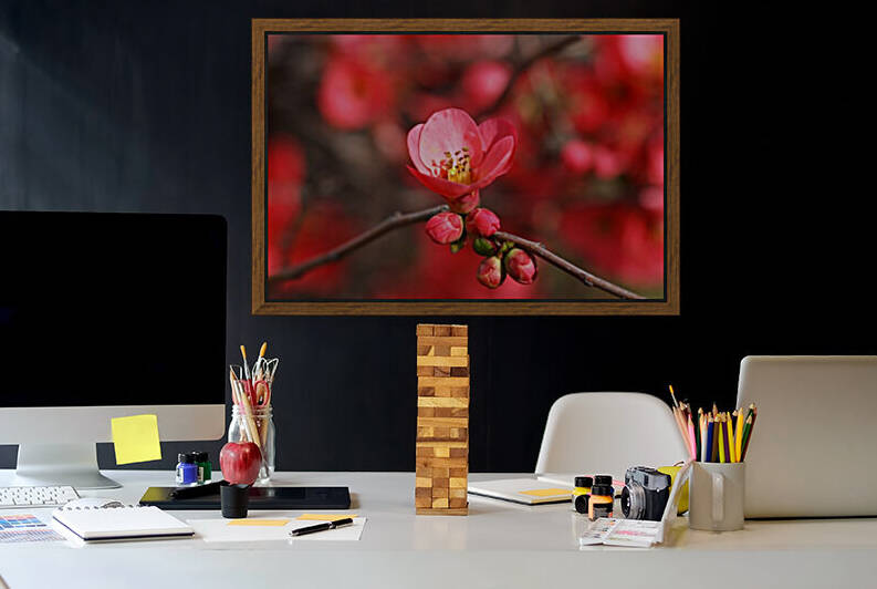 Bright Quince Spring by Joy Watson