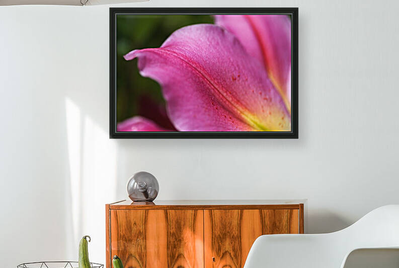 Reaching Lily Petals by Joy Watson