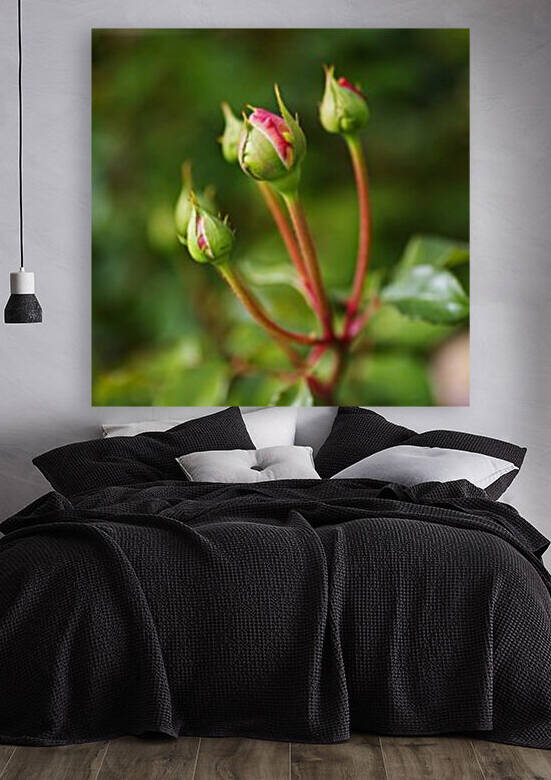 Many Rose Buds by Joy Watson