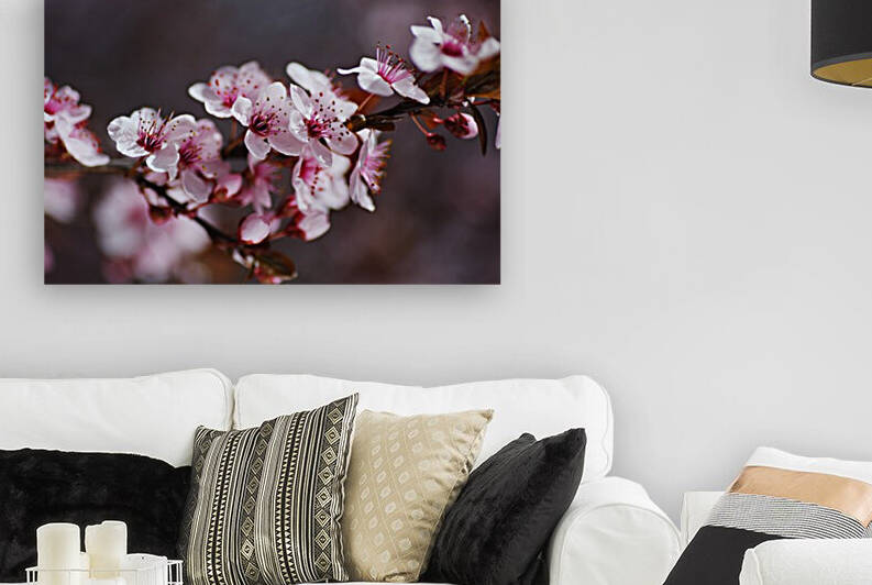 Blossom Pinks Spring Delight by Joy Watson