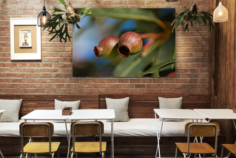 Australian Gumnut Pair by Joy Watson