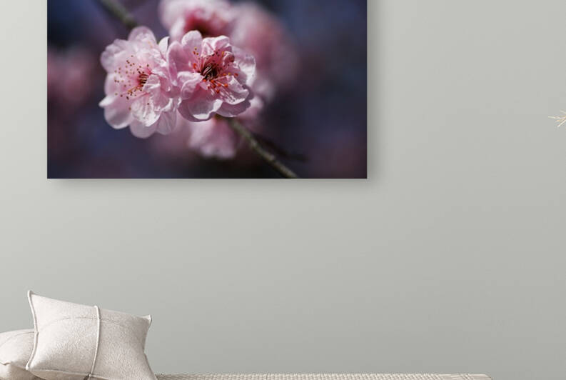 Blossom Pinks And Blue Delight  by Joy Watson