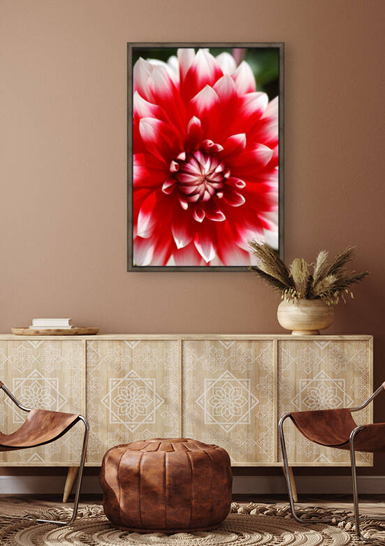 Red Dahlia Love by Joy Watson