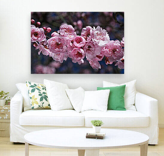 Soft Pink Blossom Display by Joy Watson