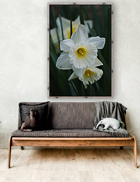 White Cupped Daffodils by Joy Watson