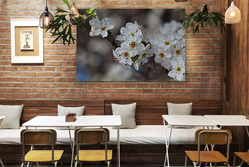 The White Blossom by Joy Watson