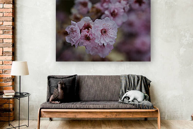Spring Pink Blossom Nature by Joy Watson