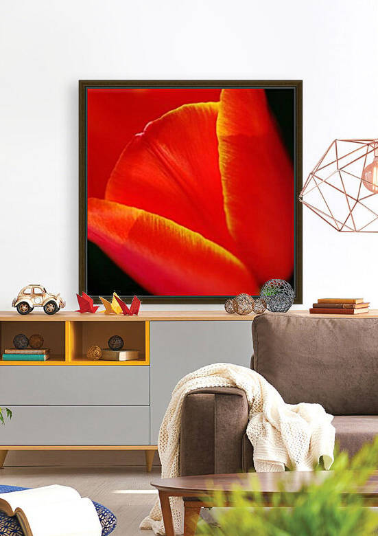 Tulip Yellow Tipped Red Bloom by Joy Watson