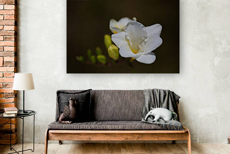 The White Freesia Flower by Joy Watson