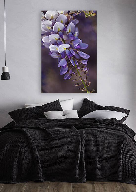 Loving Purple Wisteria by Joy Watson