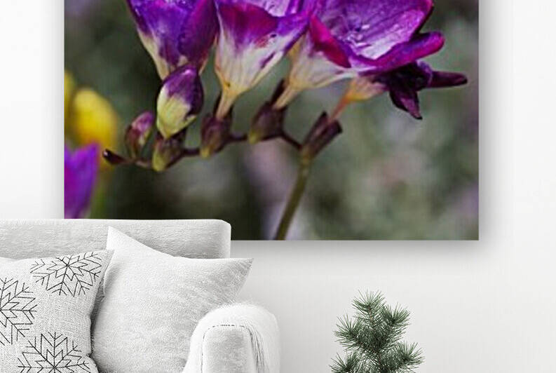 Purple Freesias Hand by Joy Watson