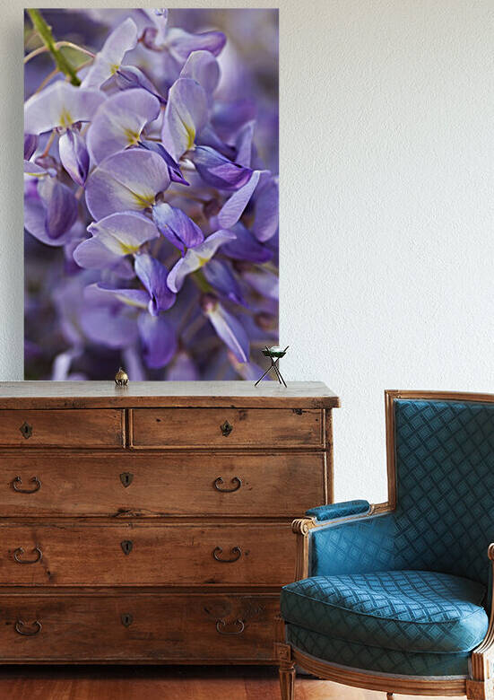 Wisteria Of Romance by Joy Watson