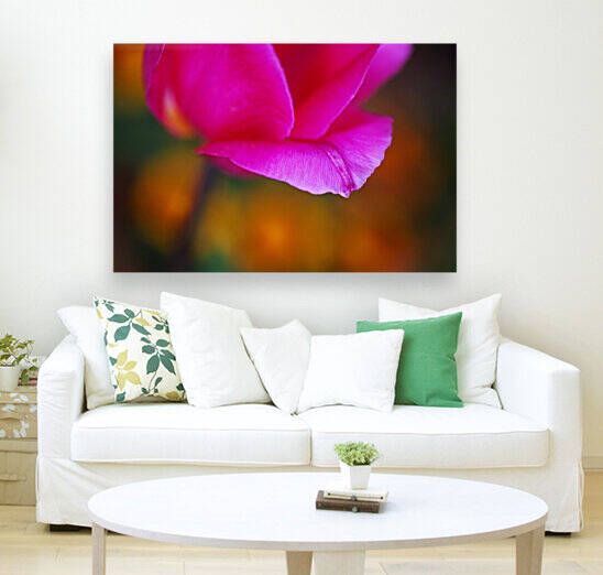 Bright Pink Tulip by Joy Watson