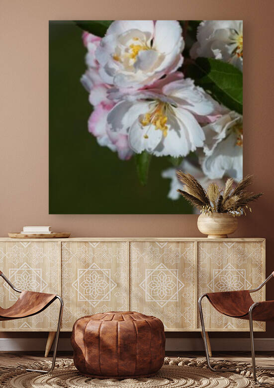Crabapple Flowers by Joy Watson