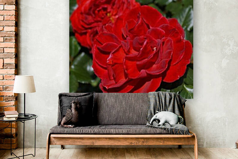 The Two Red Roses by Joy Watson