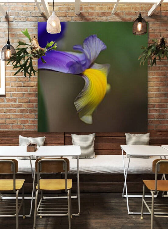 Iris Face Petals by Joy Watson