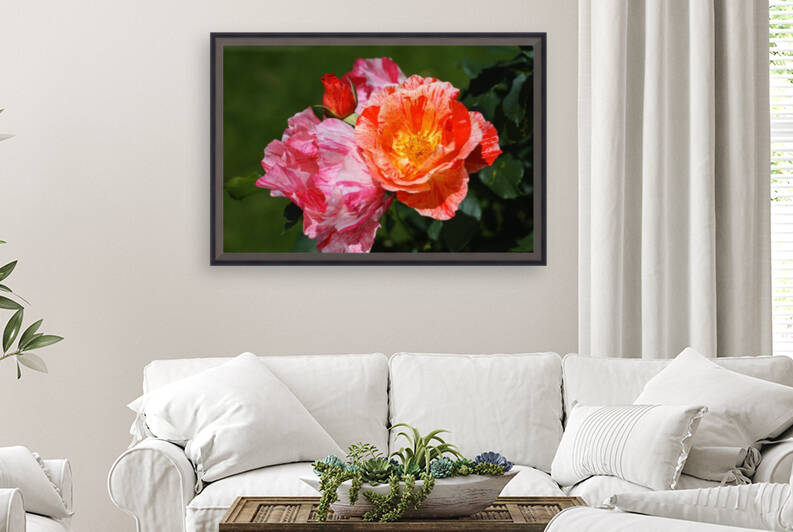Three Scentimental Rose Flowers by Joy Watson
